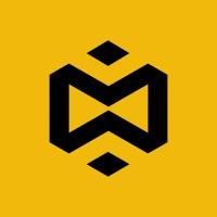 yzi labs